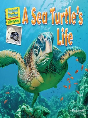 cover image of A Sea Turtle's Life